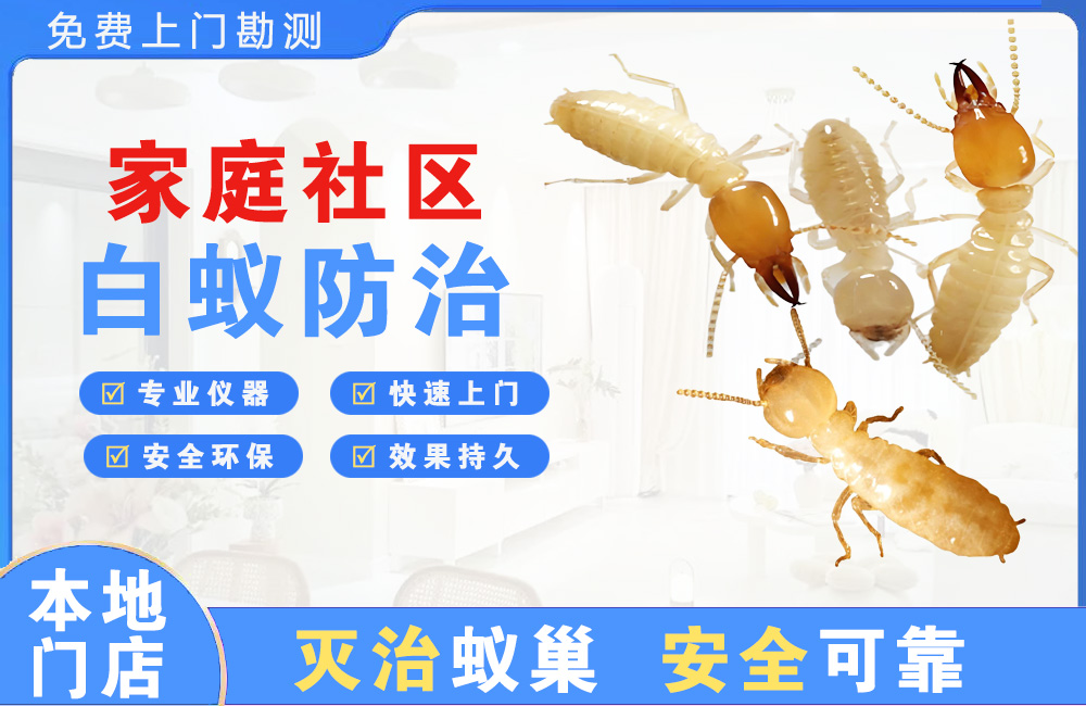 达州家庭社区白蚁防治