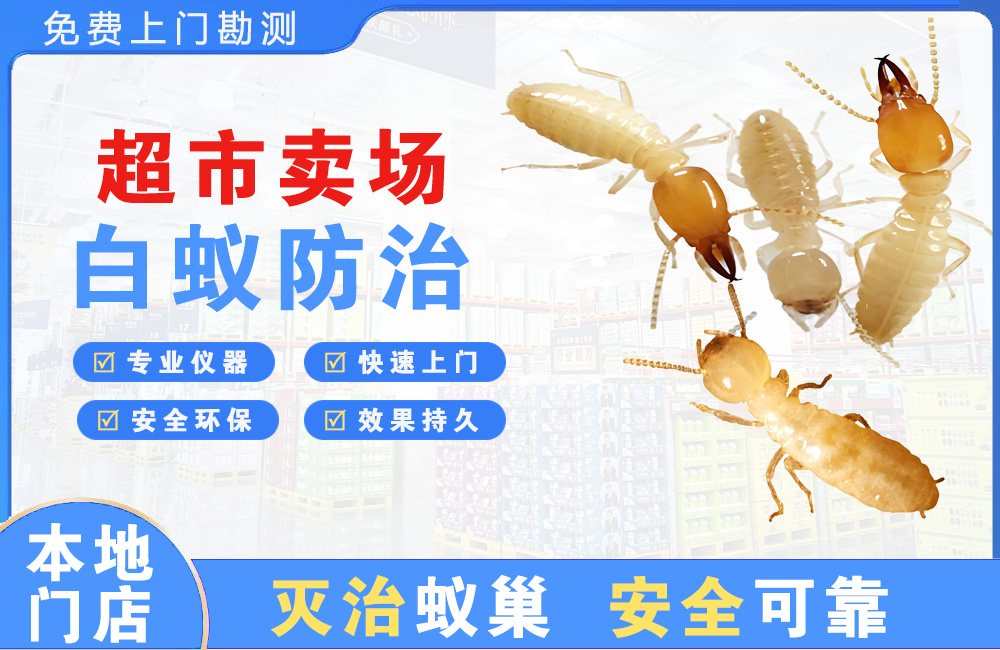 达州超市卖场白蚁防治