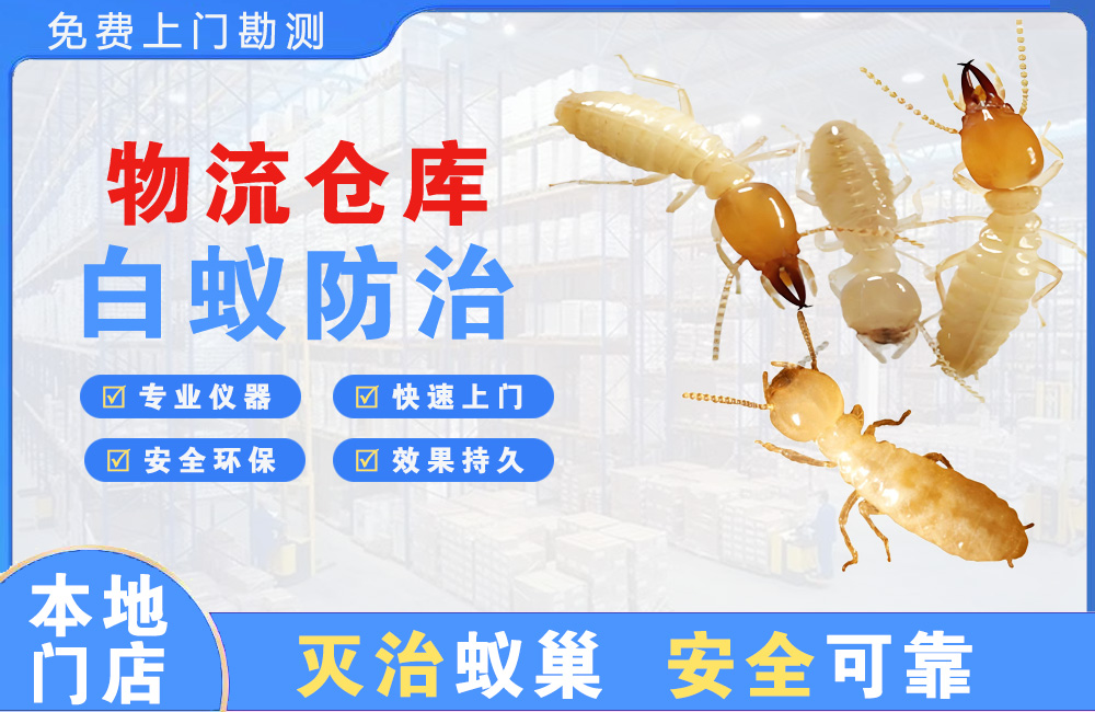 达州物流仓库白蚁防治