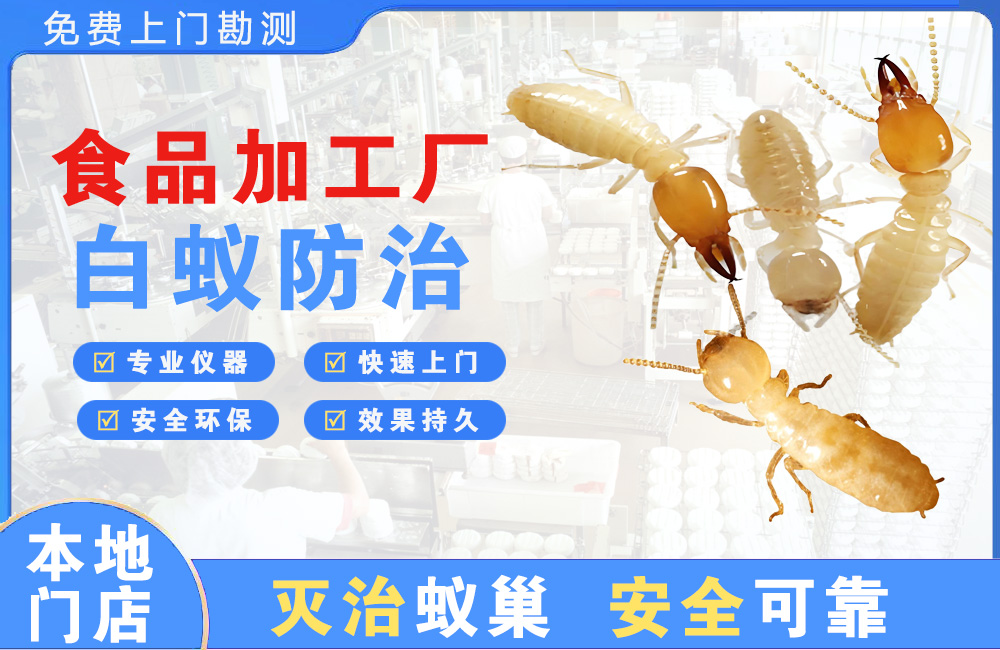 达州食品加工厂白蚁防治