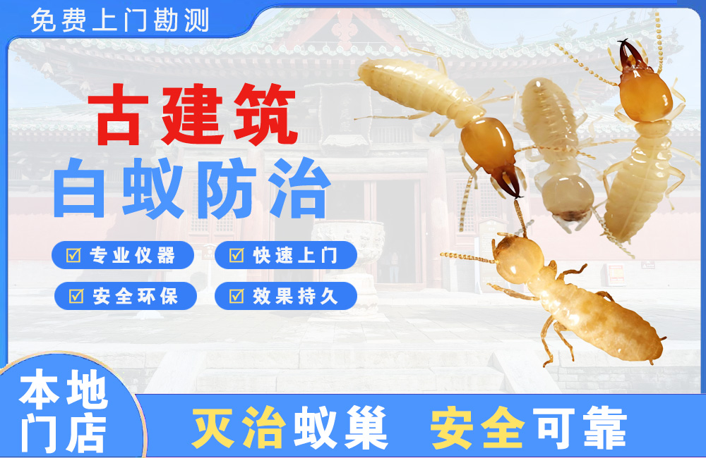 达州古建筑白蚁防治