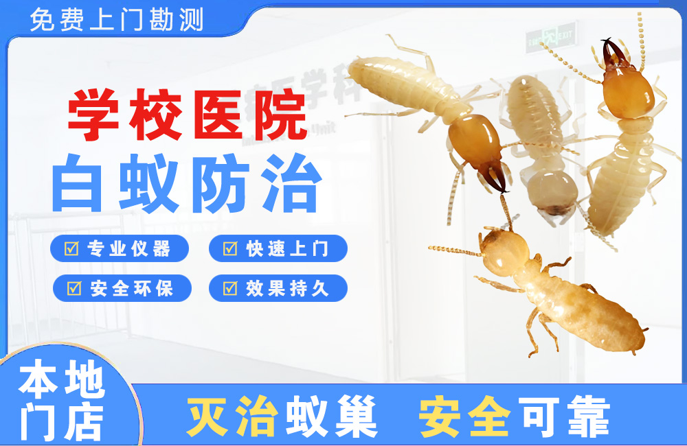 达州学校医院白蚁防治