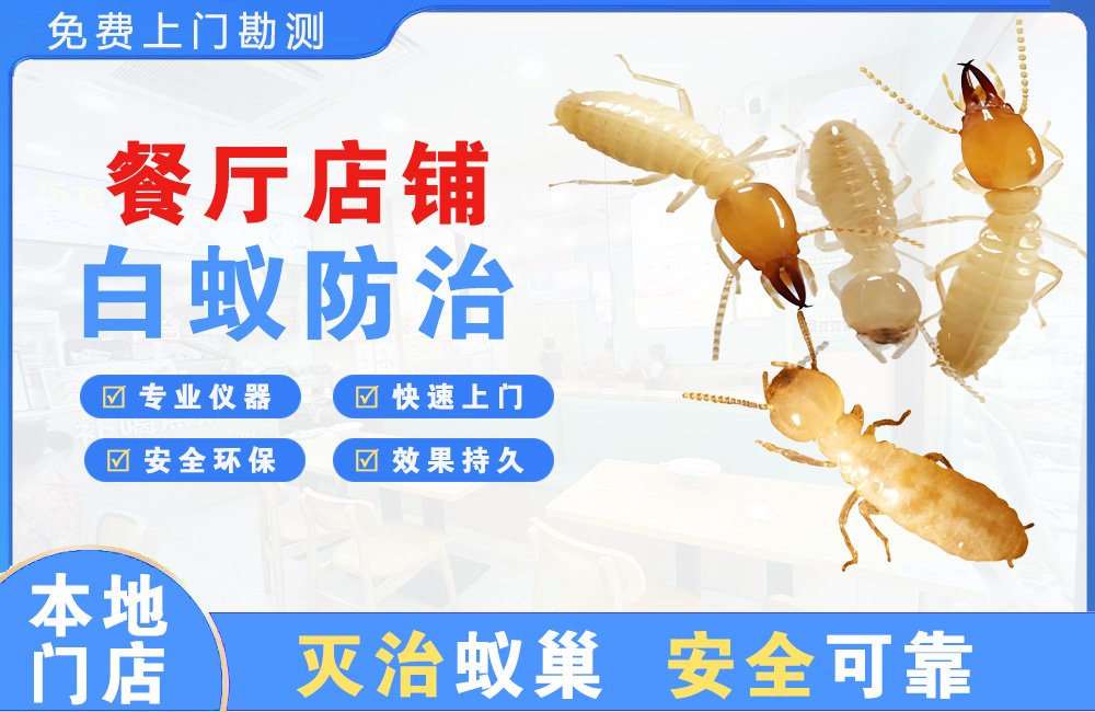 达州餐厅店铺白蚁防治